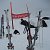 fiesch09_29